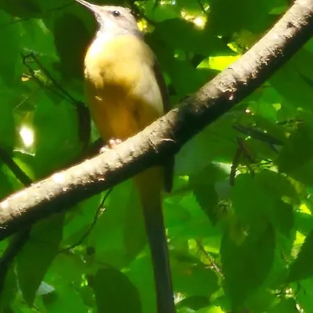 Doksas Deguric Apartment *