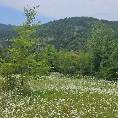 Doksas Deguric Belic