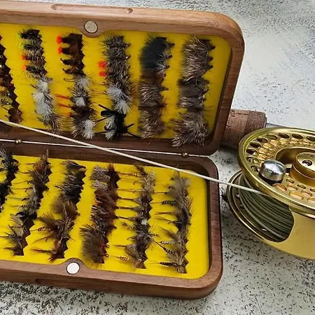 Doksas Deguric Belic