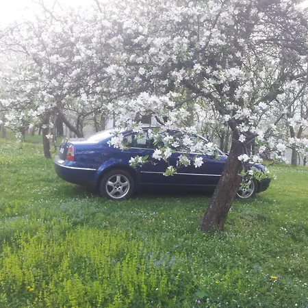 Apartment Doksas Deguric Belic