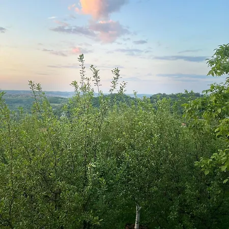 Doksas Deguric * Belic