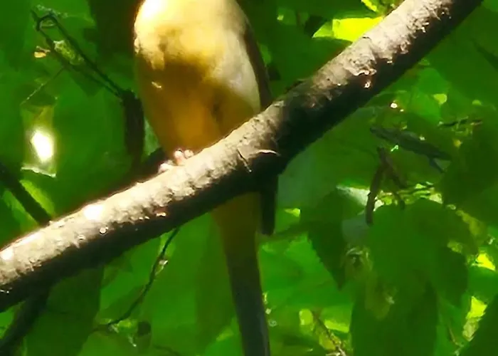 Doksas Deguric Апартаменты *