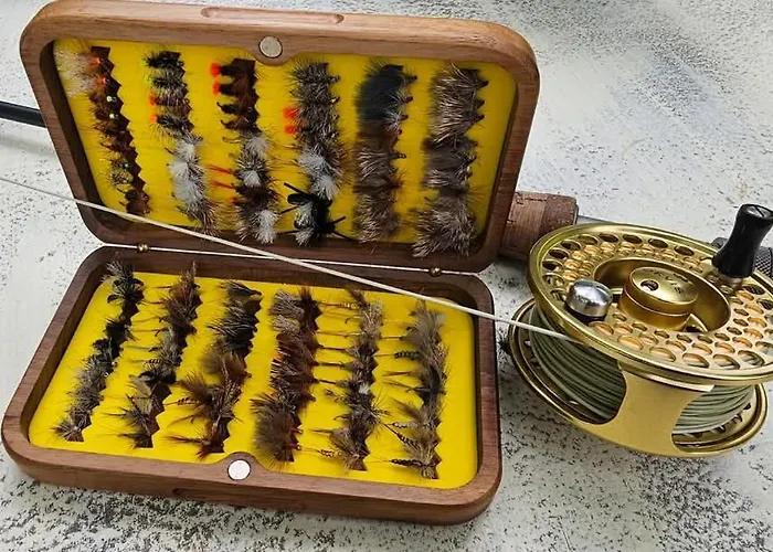 Doksas Deguric Belic