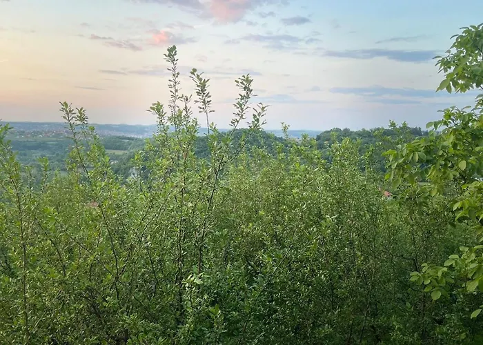 Doksas Deguric * Belic