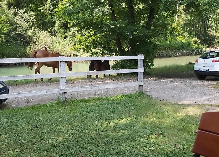 Апартаменты Doksas Deguric